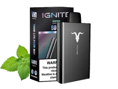 Эл. сиг. IGNITE V 80 8000 Mentol 2%