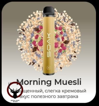SOAK X Morning Muesli 1500 затяжек
