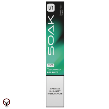 Электронная сигарета SOAK S Cane Mint 3500 затяжек