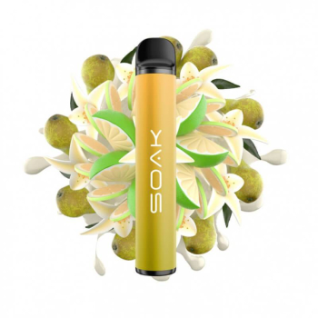 SOAK Q Ванильная груша с лаймом 3000 затяжек МРК