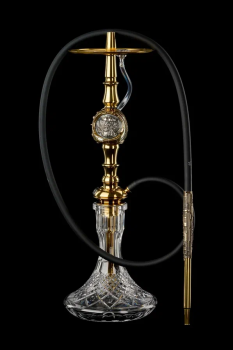 Maklaud Project 25 Ilon Mars №1 Gold