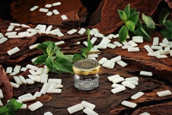 Табак WTO Caribbean Blend – Мятная жевательная резинка 20 гр.