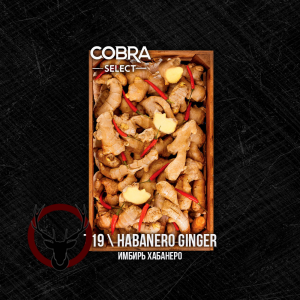 Табак Cobra Select Habanero Ginger (Имбирь Хабанеро) 40 гр.