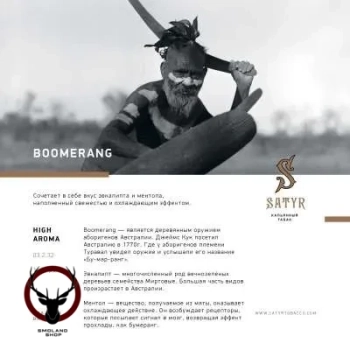 Satyr Boomerang 25гр