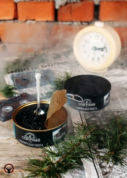 Северный Сибирская пихта 25гр