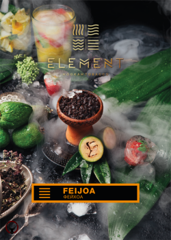 Element ЗЕМЛЯ Feijoa 100гр