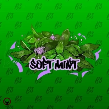 B3 Soft mint 250гр