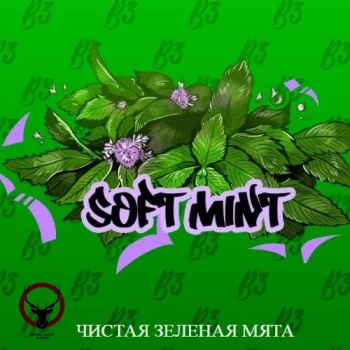 B3 Soft mint 50гр АТП