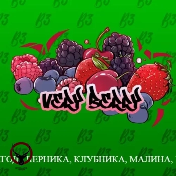 B3 Very berry 250гр АТП