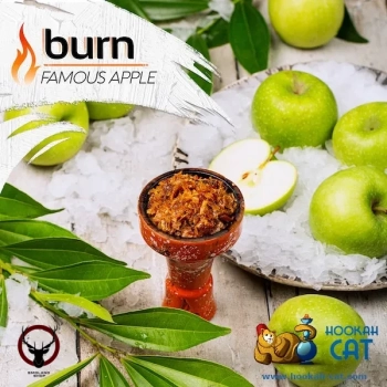 Burn Famous apple 100гр