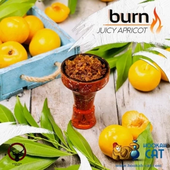 Burn Juicy apricot 100гр