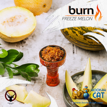 Burn Freeze melon 200гр