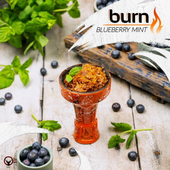Burn Blueberry mint 25гр