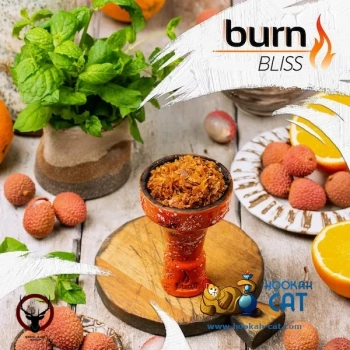 Burn Bliss 25гр
