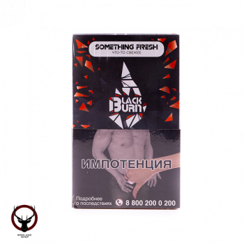 Burn BLACK Something fresh 100гр