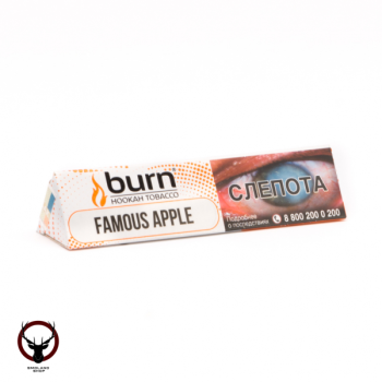 Burn Famous apple 25гр