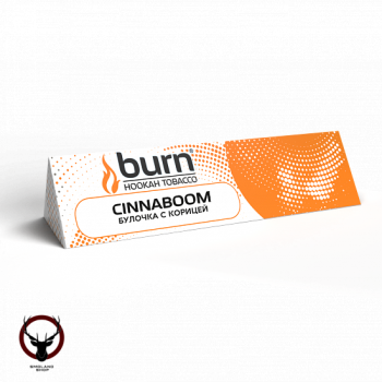 Burn Cinnaboom 25гр