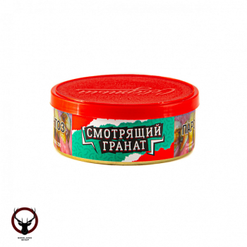 Северный Смотрящий гранат 40 гр