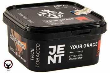 JENT Your Grace (Клубника и специи) 200гр