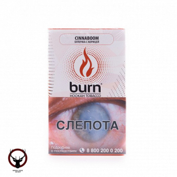Табак для кальяна Burn Cinnaboom 100гр