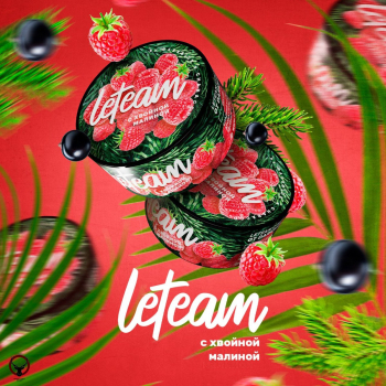 Смесь для кальяна Leteam с хвойной малиной 25 гр