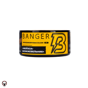 Табак для кальяна Banger Evergreen 25гр