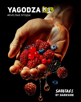 Табак Darkside SABOTAGE - Yagodza 250 гр.