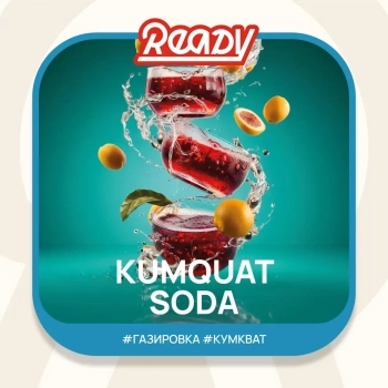 Табак для кальяна Ready 25гр Kumquat Soda МРК