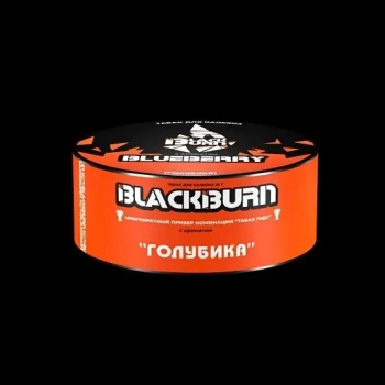 Burn BLACK Blueberry 25гр