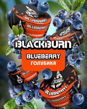 Burn BLACK Blueberry 200гр МРК