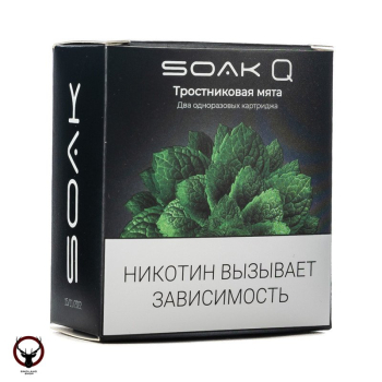 Картридж SOAK Q Тросниковая мята (2шт)