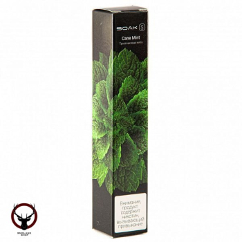 SOAK S Cane Mint 2500 затяжек МРК