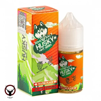 Жидкость HUSKY MINT SERIES SALT Water place 20 мг strong 30 мл