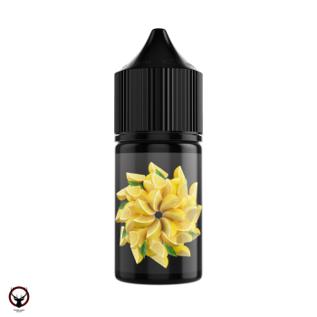 Жидкость SOAK L30 True Lemon 30 мл 2 мг МРК