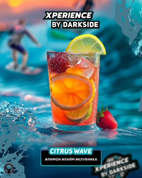 Табак для кальяна Darkside XPERIENCE CITRUS WAVE 120 гр.