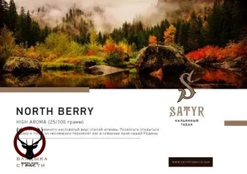 Табак Satyr - Northberry 25 гр.