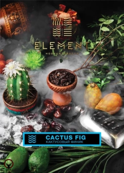 Element ВОДА Cactus Fig 40гр МРК