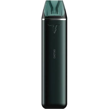 Эл. сиг. IGNITE V 30 3000 Cactus Ice/ Кактус айс 2 %