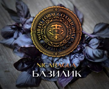 Табак WTO Nicaragua – Базилик 20 гр.