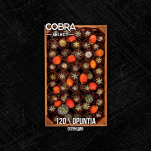 Табак Cobra Select Opuntia (Опунция) 40 гр.