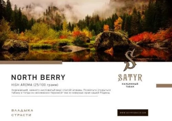 Satyr Northberry 25 гр
