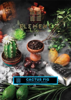 Element ВОДА Cactus fig 200гр
