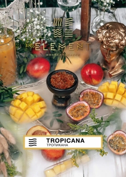 Element ЗЕМЛЯ Tropicana 200гр