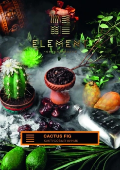 Element ЗЕМЛЯ Cactus Fig 40гр