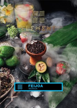 Element ВОДА Feijoa 100гр