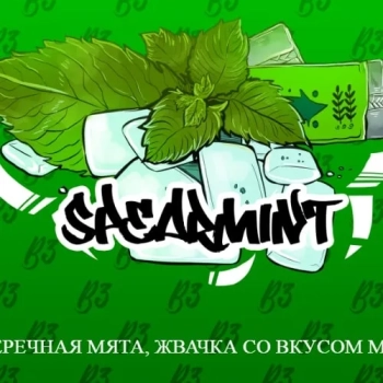 B3 Spearmint 250гр АТП
