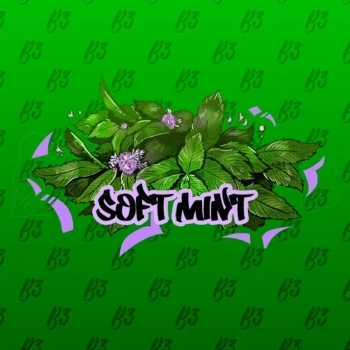 B3 Soft mint 250гр