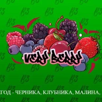 B3 Very berry 250гр АТП