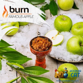 Burn Famous apple 100гр