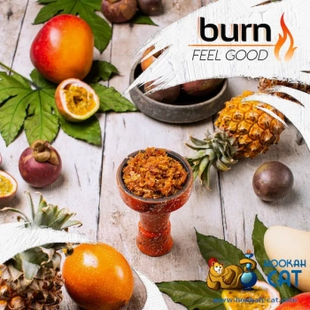 Burn Feel good 100гр
